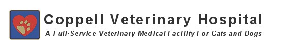 Coppell Veterinary Hospital - A full-Service Medical Facility for Cats and Dogs