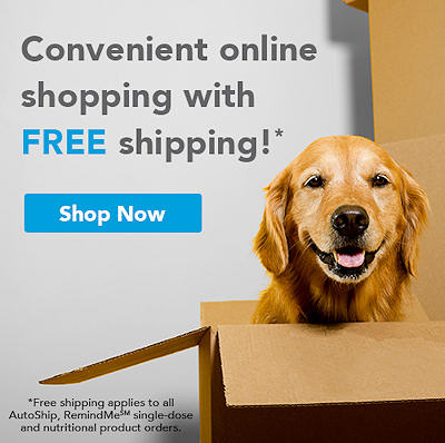 Shop Online for Your Pet Supplies
